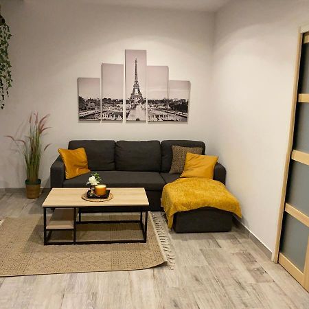 Le Duplex De Paris Apartment Шалон-сюр-Сон Екстериор снимка